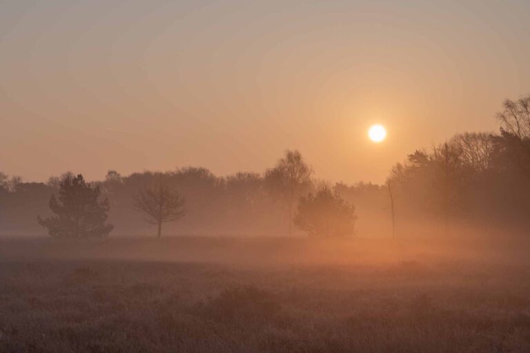 Erik_Tolboom_Fotografie_avond_20250328_0013